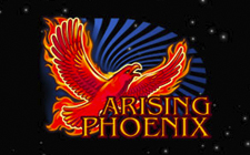 Arising Phoenix