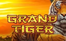 Grand Tiger