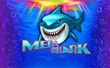 Mega Shark
