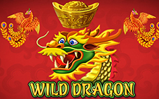Wild Dragon