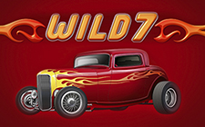 Wild 7