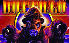 Buffalo