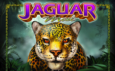 Jaguar Mist