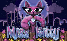 Miss Kitty