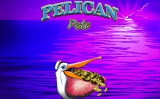 Pelican Pete