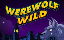 Werewolf Wild