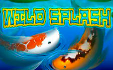 Wild Splash