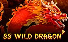 88 Wild Dragon