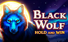 Black Wolf
