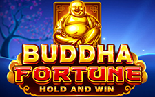 Buddha Fortune