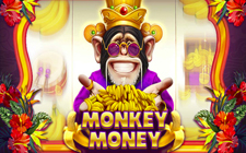 Monkey Money