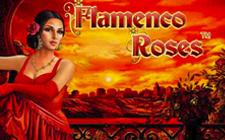 Flamenco Roses