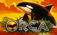 Orca