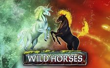 Wild Horses