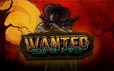 Wanted Dead or a Wild
