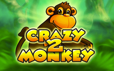 Crazy Monkey 2