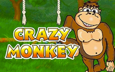 Crazy Monkey
