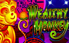 Wealthy Monkey