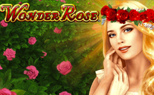 Wonder Rose