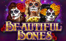 Beautiful Bones