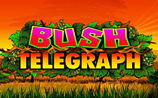 Bush Telegraph