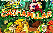 Cashapillar