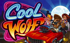 Cool Wolf