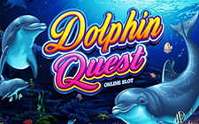 Dolphin Quest