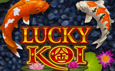 Lucky Koi