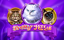 Pretty Kitty