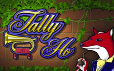 Tally Ho