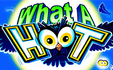 What a Hoot