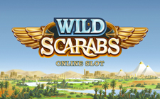 Wild Scarabs