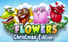 Flowers Christmas Edition