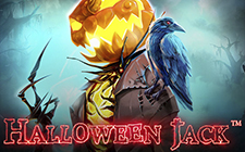 Halloween Jack