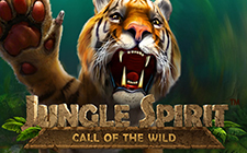 Jungle Spirit