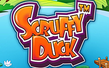 Scruffy Duck