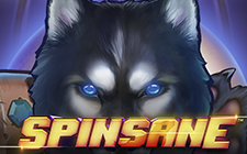 Spinsane