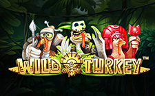 Wild Turkey