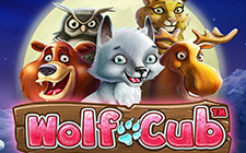 Wolf Cub