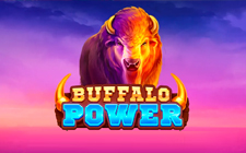 Buffalo Power