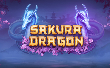 Sakura Dragon