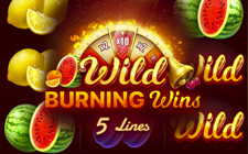 Wild Burning Wins: 5 lines