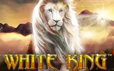 White King