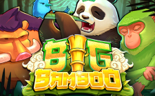 Big Bamboo