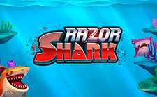 Razor Shark