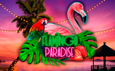 Flamingo Paradise